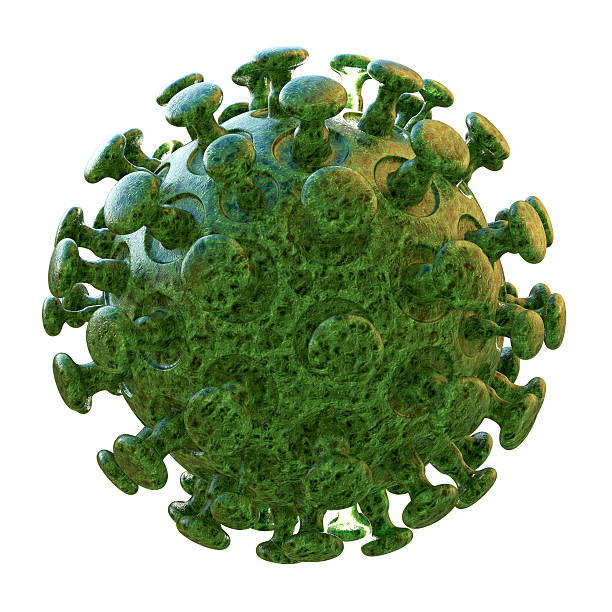 what is coronavirus oc43 - coronavirus in france lyon